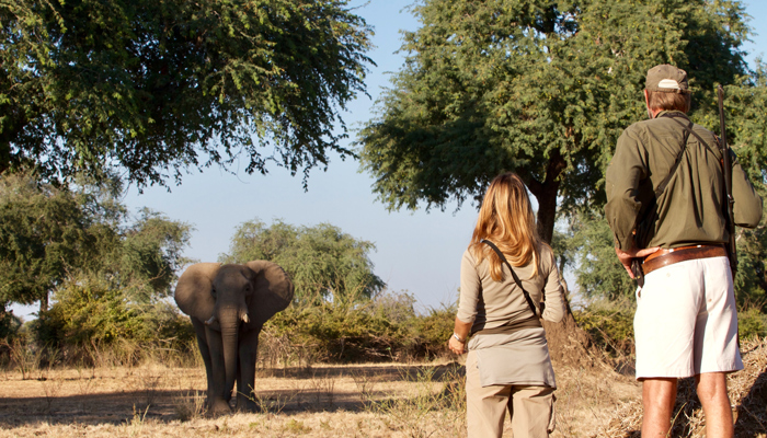 African_Safari_foot